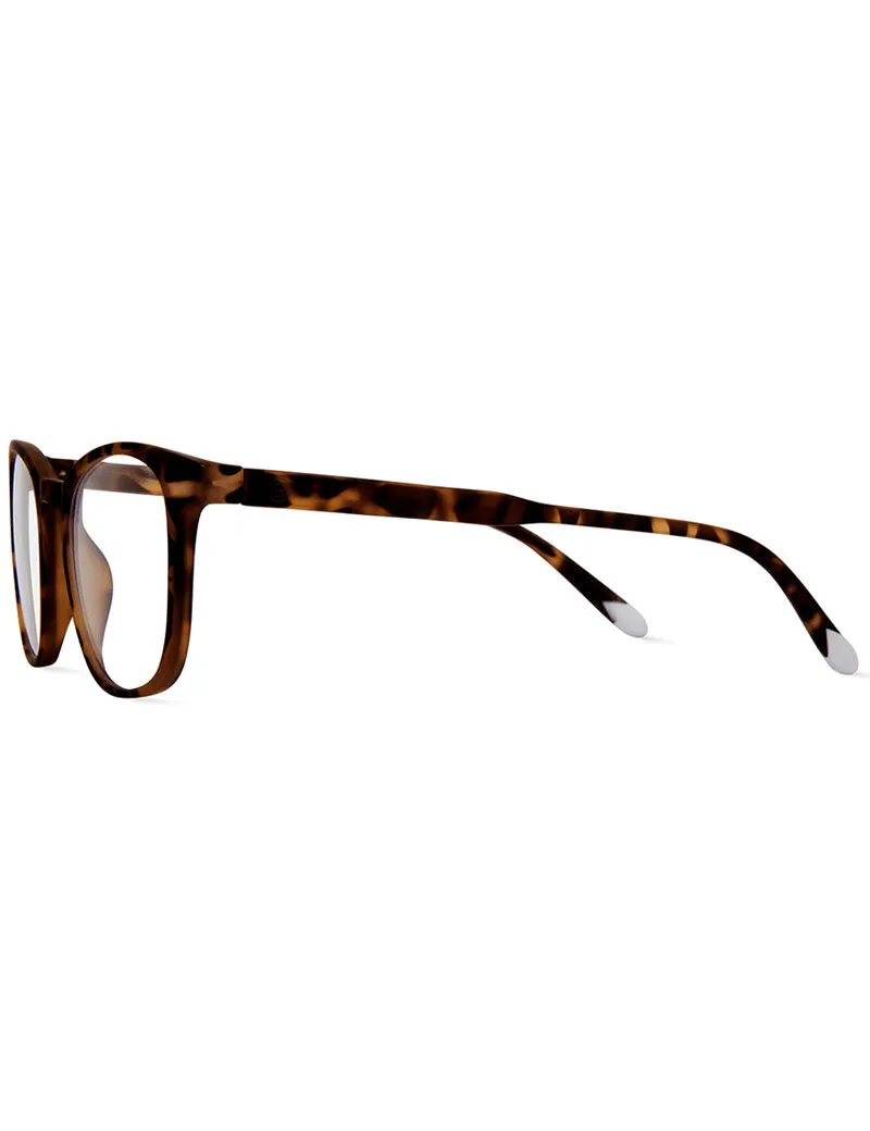 Barner Dalston Blue Light Reading Glasses Tortoise