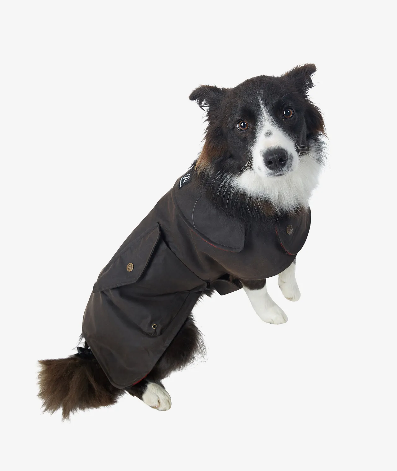 Hunter Oilskin Dog Cover/Jacket in Brown - Swanndri NZ