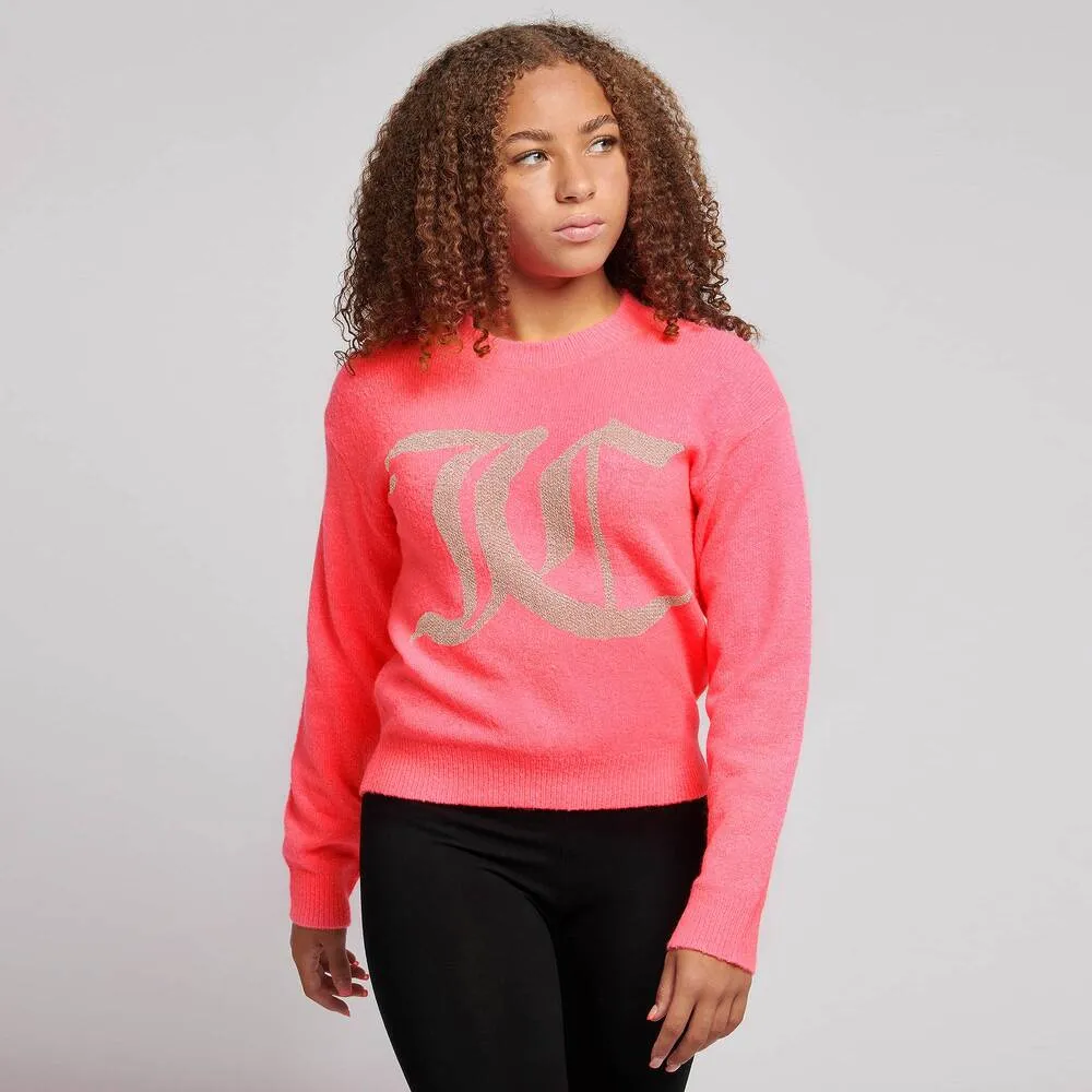 Teen Girls Pink Logo Sweater